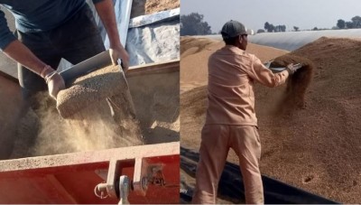 VIDEO: Sand is being mixed in the wheat of the govt centers!
