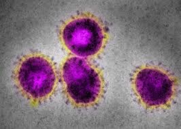WHO के अनुसार यह 5 कारण बनेगे लोगों की मौत का कारण, सबसे ऊपर कोरोना वायरस
