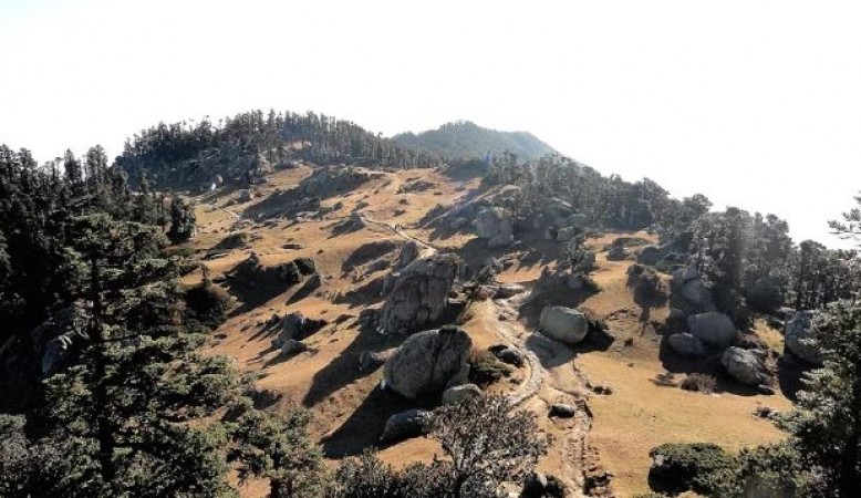क्या आज भी मौजूद हैं संजीवनी बूटी ?, द्रोणगिरी पर्वत पर मिलने का दावा