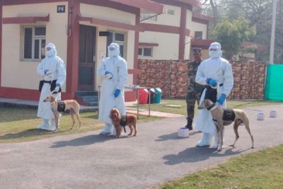 These trained dogs will detect corona patients