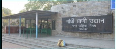 MP: Gwalior Zoo will reopen after 9 months from 15 February