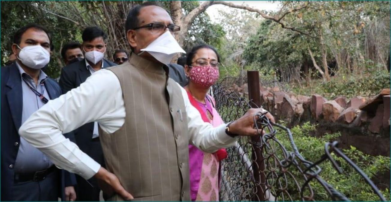 Valentine's Day: CM Shivraj Singh Chauhan arrives with wife in Van Vihar National Park, Bhopal