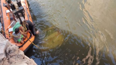 चंबल नदी में गिरी बारात ले जा रही कार, दूल्हे समेत 9 लोगों की गई जान