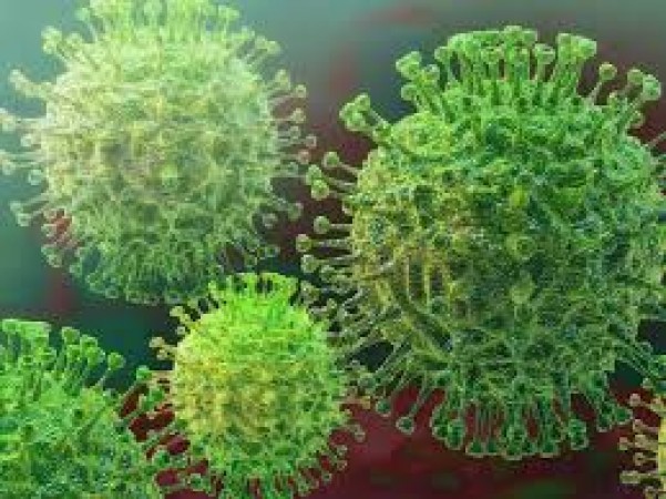Different variants of coronavirus found in southern part of the country