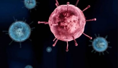 Coronavirus suspect found in Leh, admitted in SNM hospital