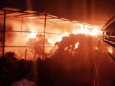 Himachal Pradesh: 7 women burnt alive in factory blast, PM Modi announces compensation