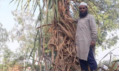 Income of this farmer of UP has increased 3 times, you also know this miraculous trick