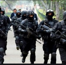 ATS-NSG commandos will be deployed to protect President Trump, langurs will also be deployed