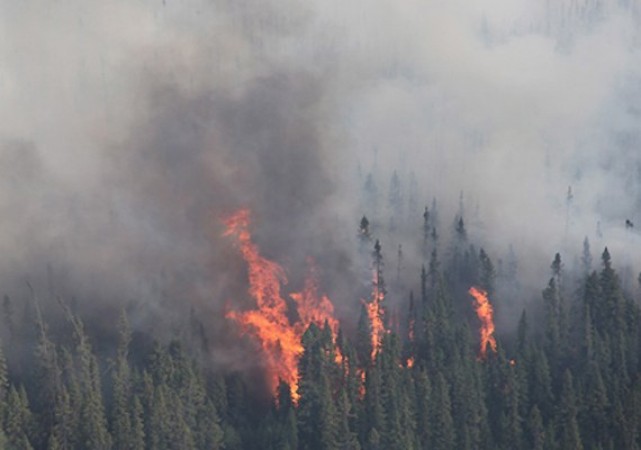 Fire in Mankote forest in the subdivision of Poonch district