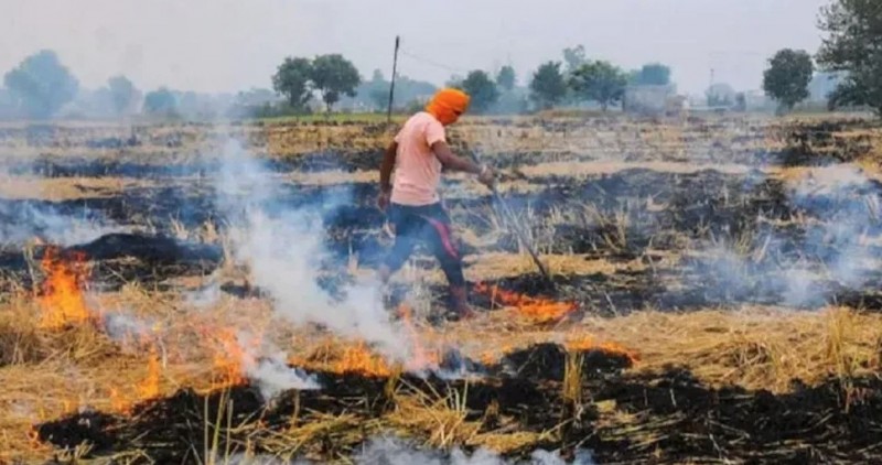 किसानों के लिए जारी हुई एडवाइजरी, खेतों में न जलाए नरवाई