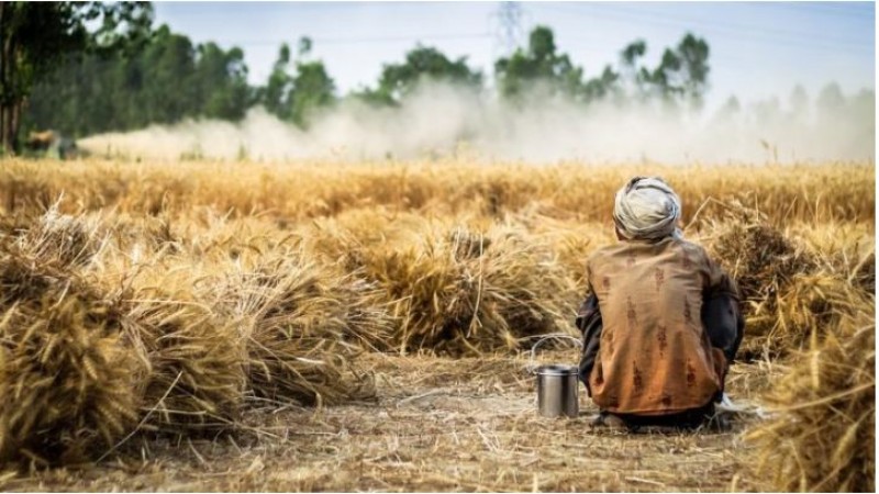 किसान आंदोलन: 'जान दे रहा हूँ, ताकि कोई हल निकल सके'... लिखकर फांसी पर झूल गया अन्नदाता