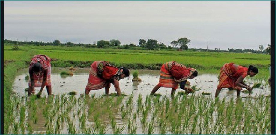 Madhya Pradesh: Shivraj Singh Chauhan launches 'MP Kisan App' for farmers