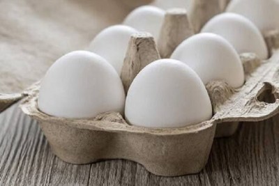 Bird Flu! Knocking of new danger in two big egg market of country