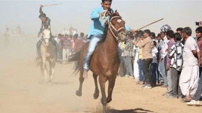 कच्छी सिंधी घोड़े को मान्यता मिलने के बाद गुजरात में आयोजित हुई पहली 'हॉर्स रेसिंग' प्रतियोगिता