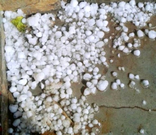 Hailstorm in MP raises farmers' concerns, causes huge losses