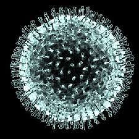 Good news! Experts made big claim over corona epidemic