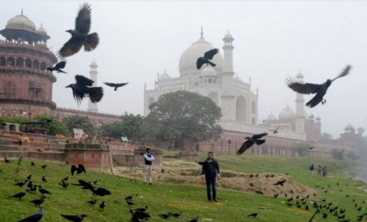 UP government impose ban on import of birds due to bird flu