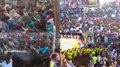 80 injured in first day, hundreds of people gather again on second day of Jallikattu