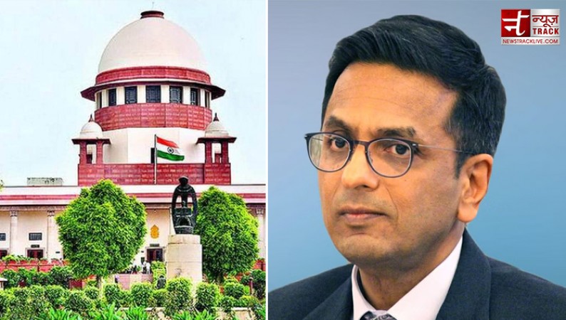 Judge Ka Beta Judge? Not only DY Chandrachud, but relatives of many judges have also been CJI