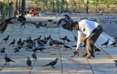 Bird flu fear: Around 15-20 dead crows were discovered dead in Red Fort