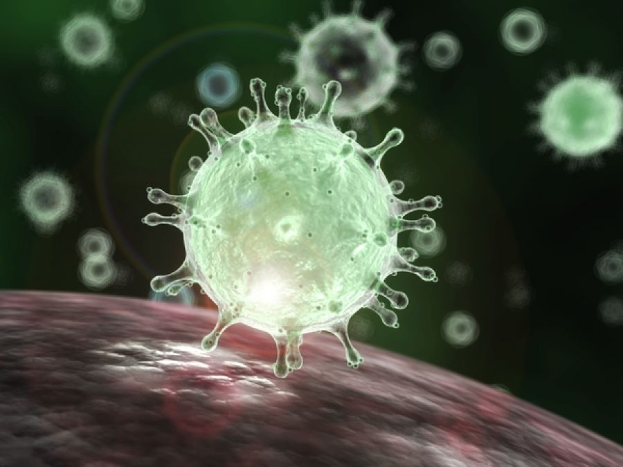 Fear of coronavirus deepens in India, test report of two patients revealed shocking truth