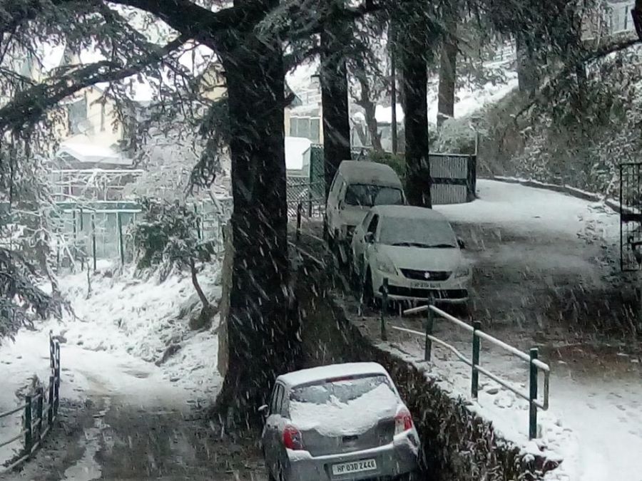 Heavy snowfall arrives in Kufri, traffic disrupted for upper Shimla