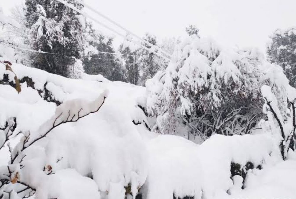 Heavy snowfall and rain in Uttarakhand, schools to remain closed