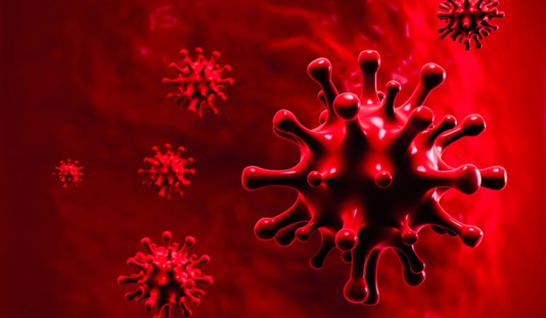 पंजाब : कोरोना से 6 लोगों ने गवाई जान, खतरनाक स्तर पर पहुंचा संक्रमण का आंकड़ा