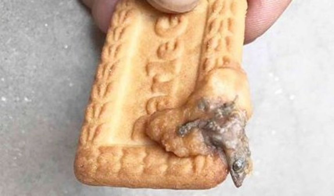 lizard found in Parle- G biscuit, two-and-a-half-year-old girl gets sick