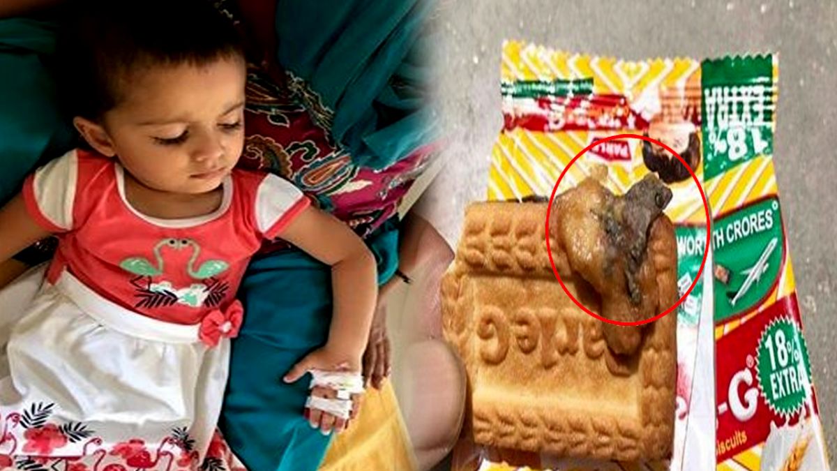 lizard found in Parle- G biscuit, two-and-a-half-year-old girl gets sick