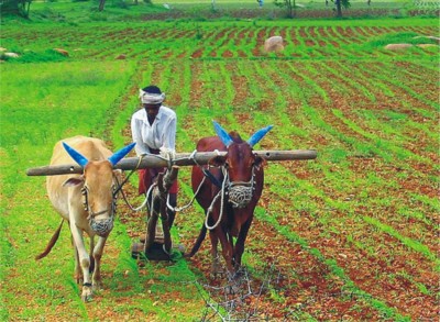 देश के किसानों के नाम कृषि मंत्री का पत्र, कहा- नई तकनीक अपनाएं, खूब अन्न उपजाएं
