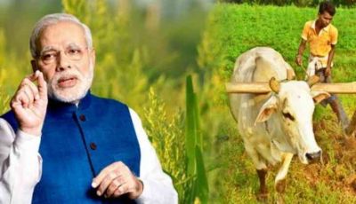 Modi government raises support price for several crops including paddy, big gift to farmers