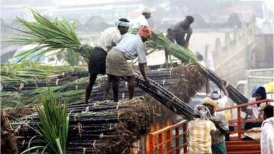 Open warning of sugarcane farmers, payment of dues should be made immediately otherwise...