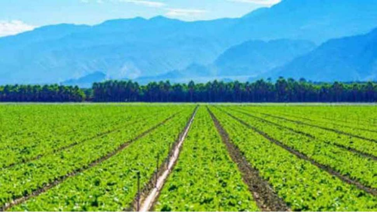 Innovative Organic Farming, Profits Increased by Manifold