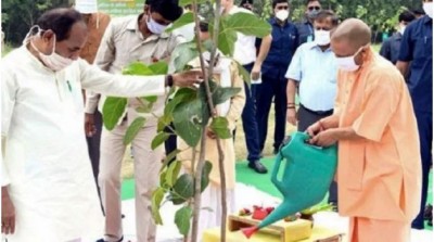 Yogi govt achieves new green feat, plants 25.5 crore saplings in a day