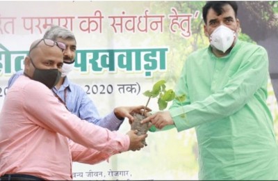 केंद्र द्वारा दिए गए लक्ष्य से दोगुने पौधे रोपेगी दिल्ली सरकार - पर्यावरण मंत्री गोपाल राय