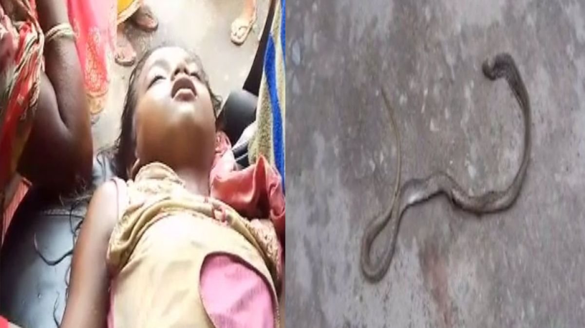 The girl was bitten by a snake, then the family buffed into the superstition lose the innocent's life