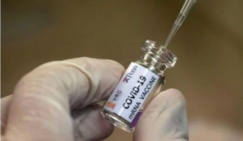 कोरोना वैक्सीन को लेकर आई खुशखबरी, टीके की टॉक्सिसिटी स्टडीज रही सफल