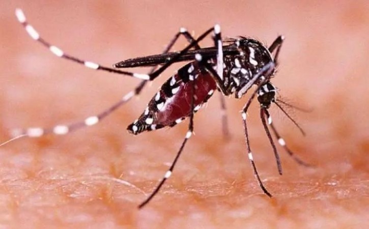 Zika Virus on the rise in Kerala, 28 patients found so far