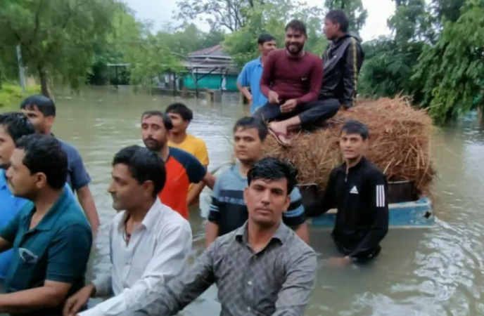 Gujarat: Heavy rain wreaks havoc drowning 1200 animals