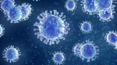 29 new cases of coronavirus surfaced in Mizoram