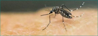 Zika virus can be more severe than coronavirus: experts