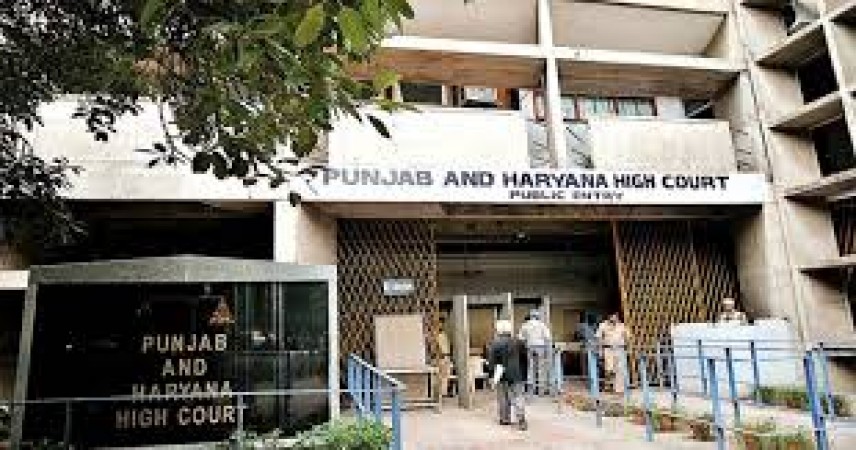 Married daughters eligible for jobs on compassionate grounds: Punjab-Haryana HC