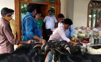 From 1000 kg fish to 10 goats, the newlyweds received gifts that stunned people