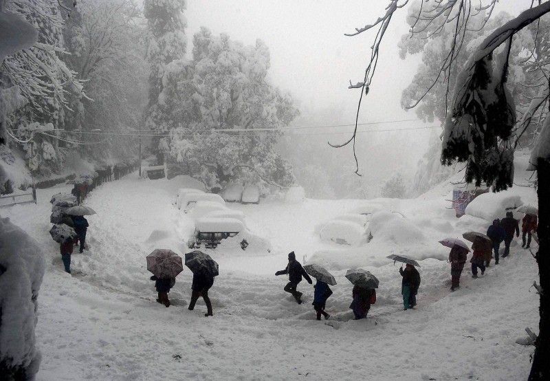 Weather Update: Snowfall in Rohtang and Chudhar, Monsoon Showers in Shimla and Kullu