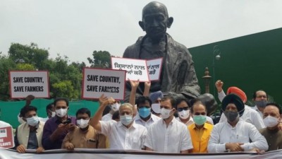 संसद परिसर में कृषि कानूनों के खिलाफ प्रदर्शन, राहुल गांधी सहित कई कांग्रेस सांसद शामिल