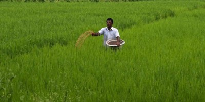उत्तराखंड: एमबीए-बीटेक वाले युवा छात्र भी अब खेतीबाड़ी में दिखा रहे है अपनी रूचि