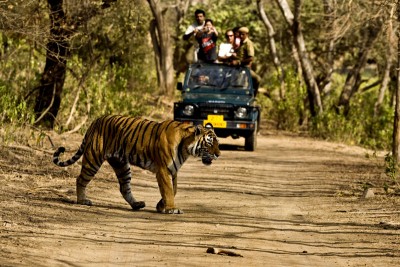 Uttarakhand: Lake and Theme Park to be built in Pakhro Range of Corbett Tiger Reserve