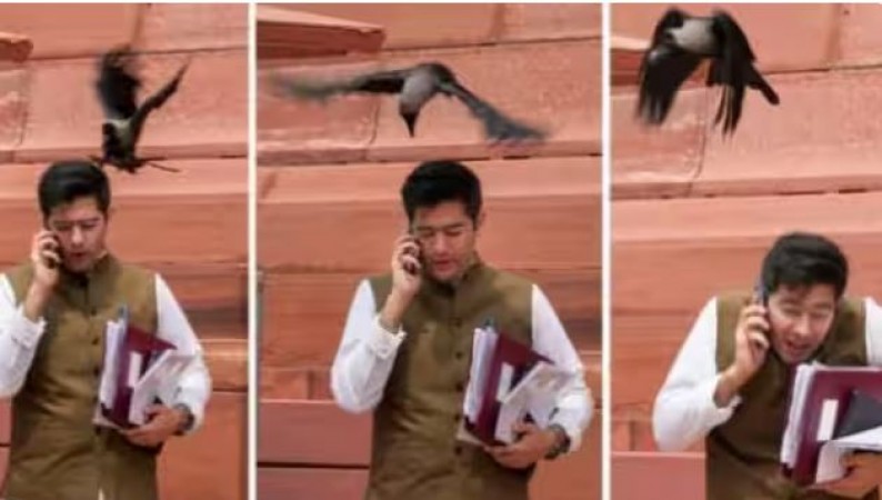संसद में AAP नेता राघव चड्ढा को चोंच मार गया कौआ, तस्वीरें देख लोग बोले- 'झूठ बोले कौआ काटे'