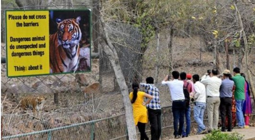 आगामी आदेश तक बंद रहेगी जंगल सफारी, जाने क्या है कारण?